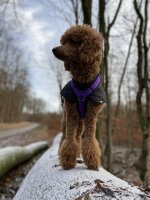 Wintermantel