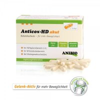 gutes für Knochen und Gelenke