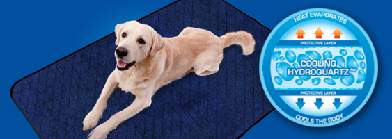 Hunde Kühldecken