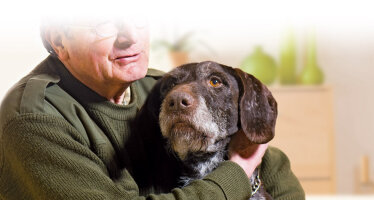 übergewichtiger oder älterer Hund
