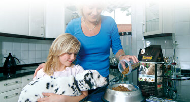 Welpen und Junghunde