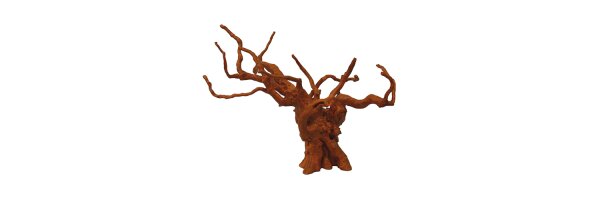 Holz