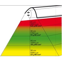 Lucky Reptile UV Sun T5 8W 300mm