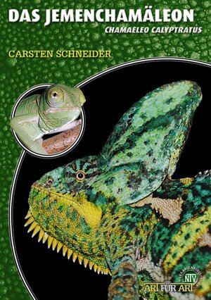 NTV Art für Art Das Jemenchamäleon (Chamaeleo calyptratus)