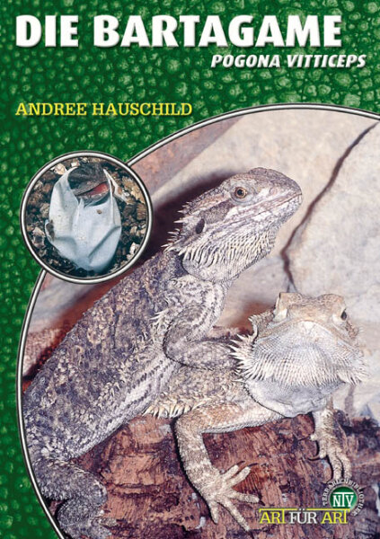 NTV Art für Art Die Bartagame (Pogona vitticeps)