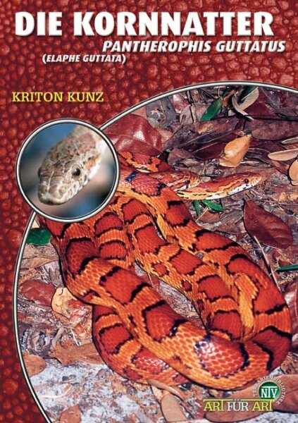 NTV Art für Art Die Kornnatter (Pantherophis guttatus)
