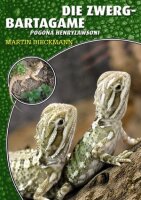 NTV Art für Art Die Zwergbartagame (Pogona...