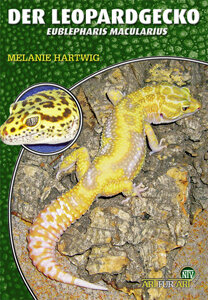 NTV Art für Art Der Leopardgecko (Eublepharis macularius)