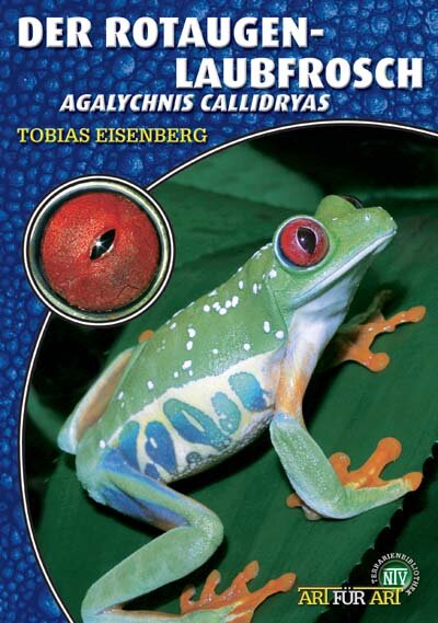 NTV Art für Art Der Rotaugenlaubfrosch (Agalychnis callidryas)
