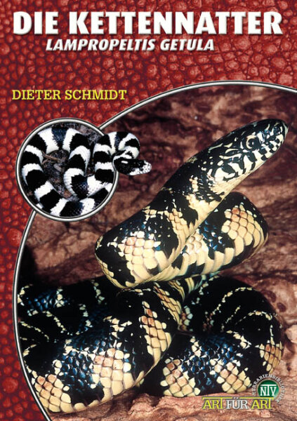 NTV Art für Art Die Kettennatter (Lampropeltis getula)