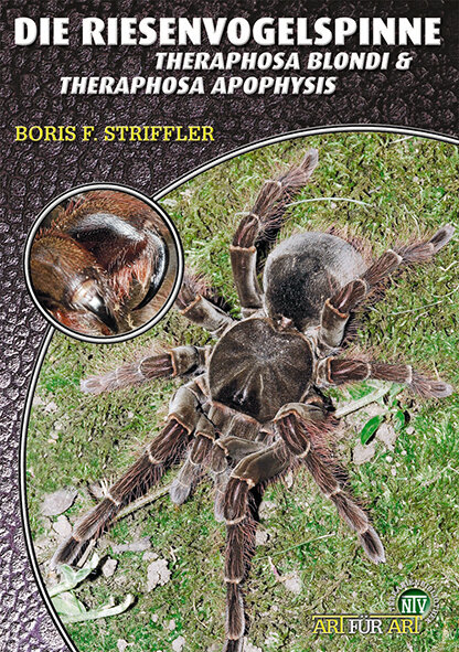 NTV Art für Art Die Riesenvogelspinne (Theraphosa)