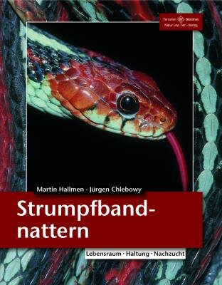 NTV Strumpfbandnattern