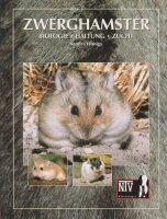 NTV Zwerghamster (Sandra Honigs)