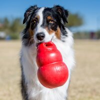 KONG Bounzer Large (20cm) rot