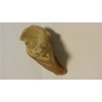 Kauhufe gefüllt vom Rind
