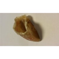 Kauhufe Rind Stück