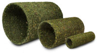 JR FARM Frühlings- Rolle groß 750g (1...