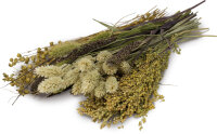 JR FARM Knabber- Potpourri 50g