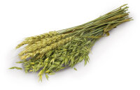 JR FARM Knabber- Sträußchen 25g