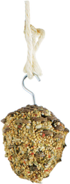 JR FARM Schlemmer- Zapfen Wellensittich & Kanarien 120g (2 Stück)