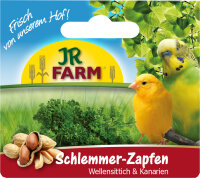 JR FARM Schlemmer- Zapfen Wellensittich & Kanarien 120g (2 Stück)