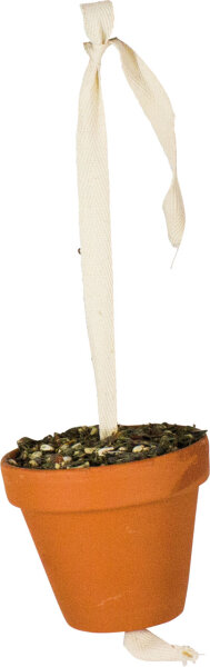 JR FARM Tontöpfchen Großsittich & Papagei 260g (1 Stück)