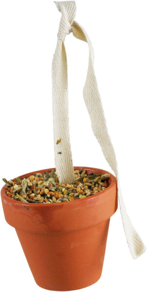 JR FARM Tontöpfchen Wellensittich & Kanarien 80g (1 Stück)