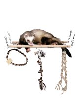 Trixie Hängebrücke für Frettchen, Ratten...