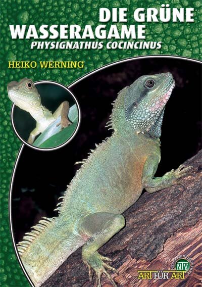 NTV Art für Art Die Grüne Wasseragame (Physignathus cocincinus)