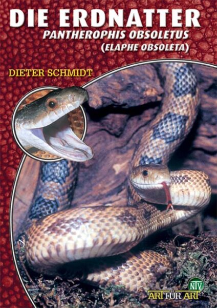 NTV Art für Art Die Erdnatter (Pantherophis obsoletus)