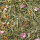 JR FARM Sommerwiese 500g
