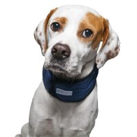 Aqua Coolkeeper Collar Pacific Blue 07 M 27-34cm