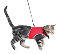 Trixie Softgeschirr mit Leine, Katze, 24-42cm