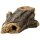 Hobby Wood Cave 2 (24x13x9cm)