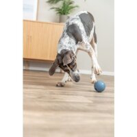 Trixie Dog Activity Snackball 7cm, diverse Farben