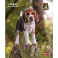 Kalender Beagle
