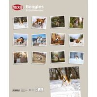 Kalender Beagle
