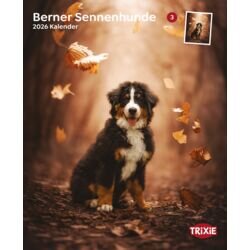 Kalender Berner Sennenhunde