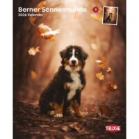 Kalender Berner Sennenhunde