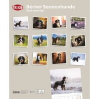 Kalender Berner Sennenhunde