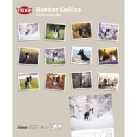 Kalender Border Collies