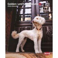 Kalender Golden- und Labradoodle