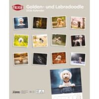 Kalender Golden- und Labradoodle
