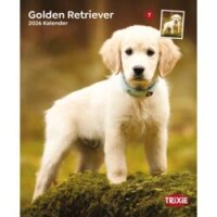 Kalender Golden Retriever