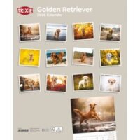 Kalender Golden Retriever