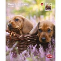 Kalender Hundewelpen