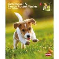 Kalender Jack Russell & Parson JR Terrier