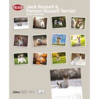 Kalender Jack Russell & Parson JR Terrier