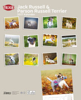 Kalender Jack Russell & Parson Russell Terrier