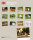 Kalender Kaninchen